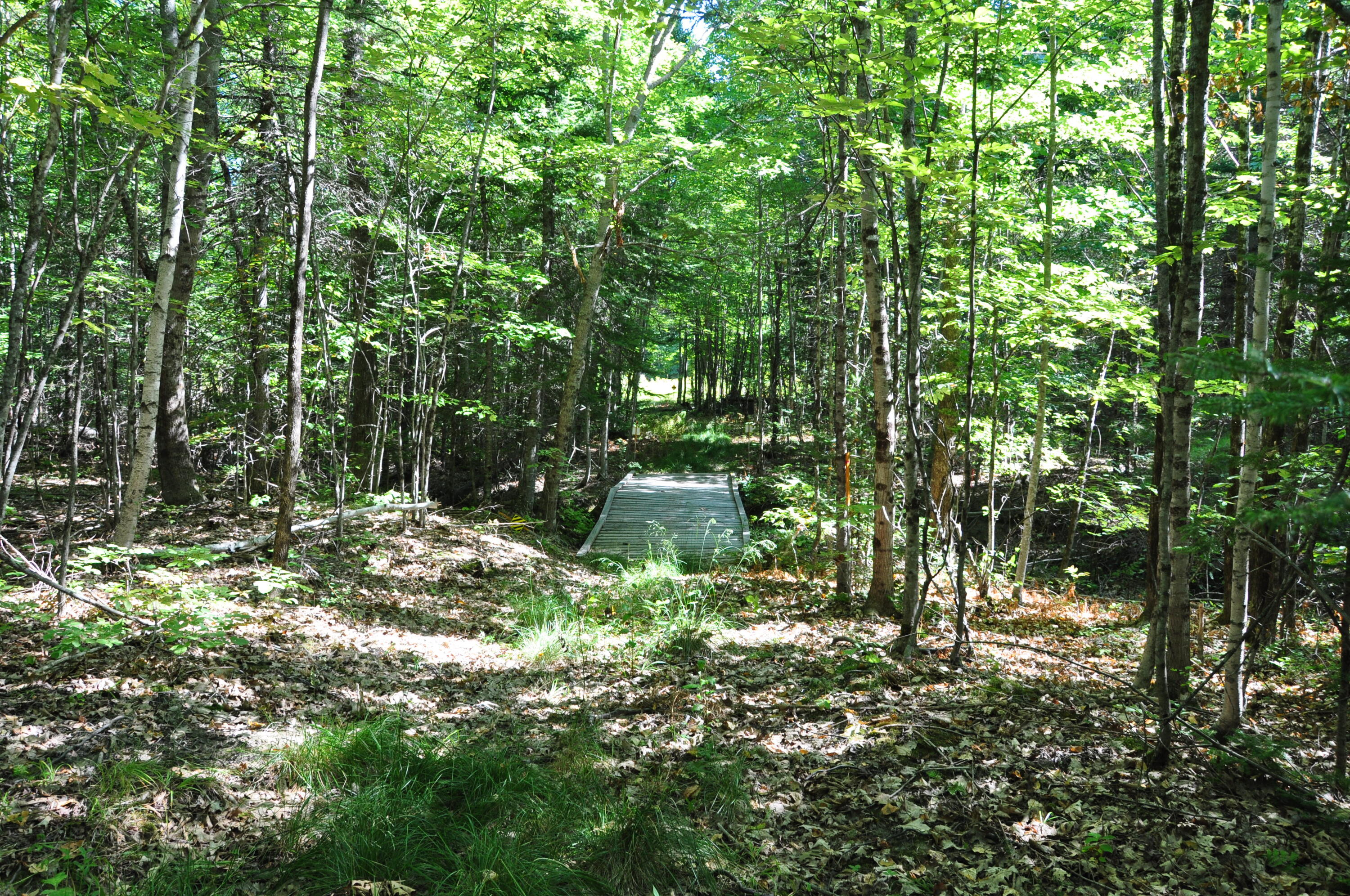 1765 Ohio Street Bangor ME 04401