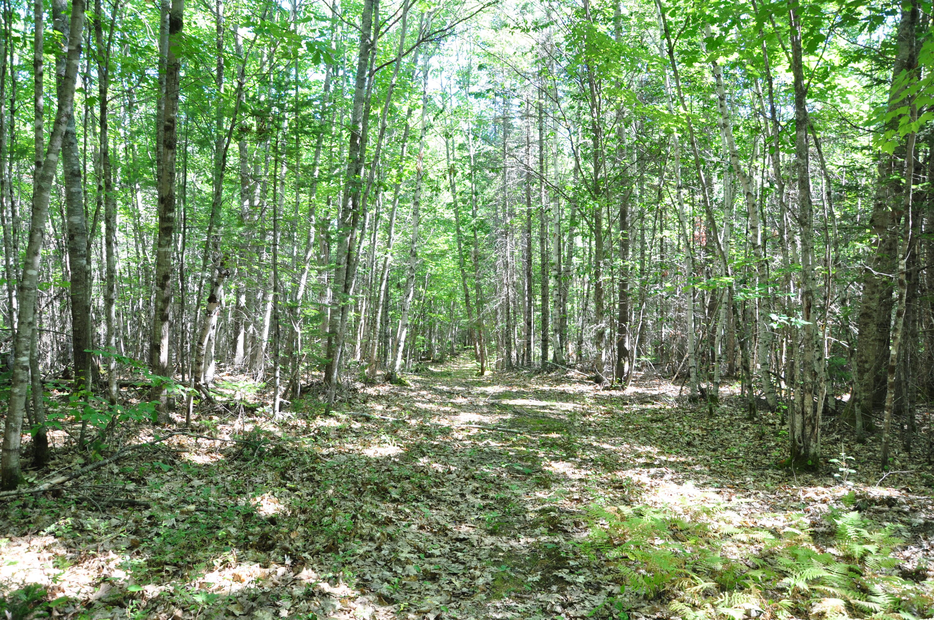 1765 Ohio Street Bangor ME 04401