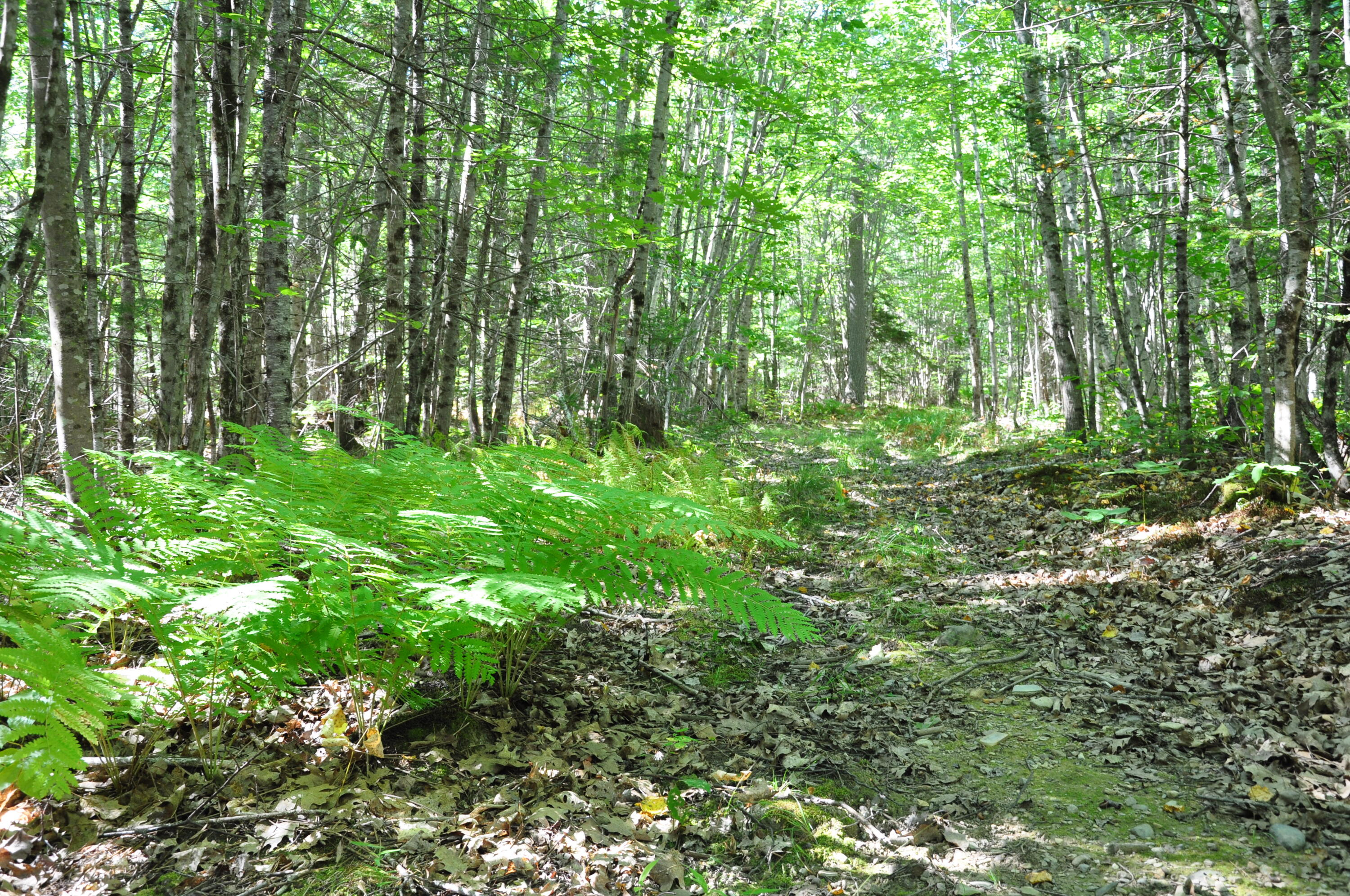 1765 Ohio Street Bangor ME 04401