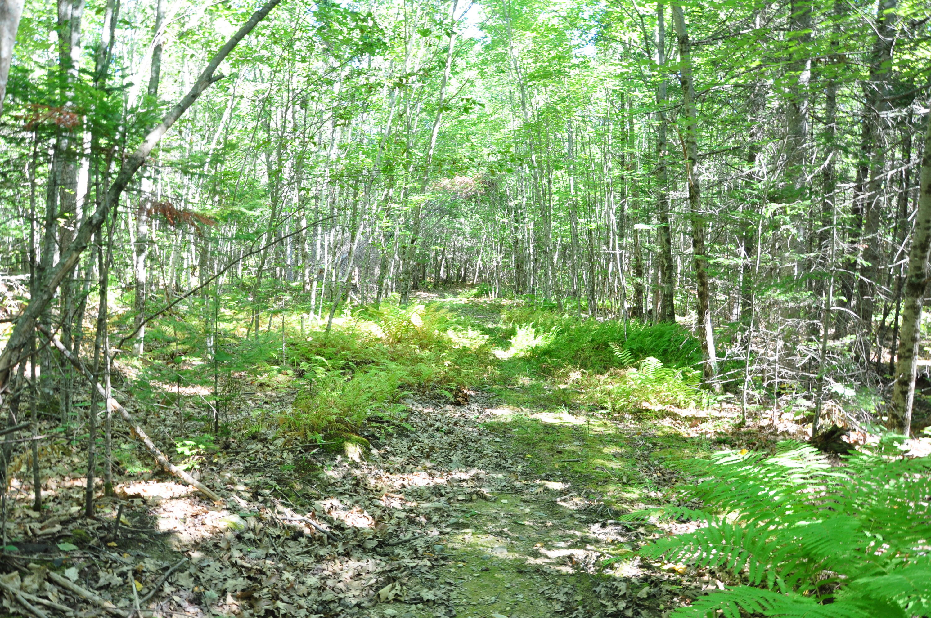 1765 Ohio Street Bangor ME 04401