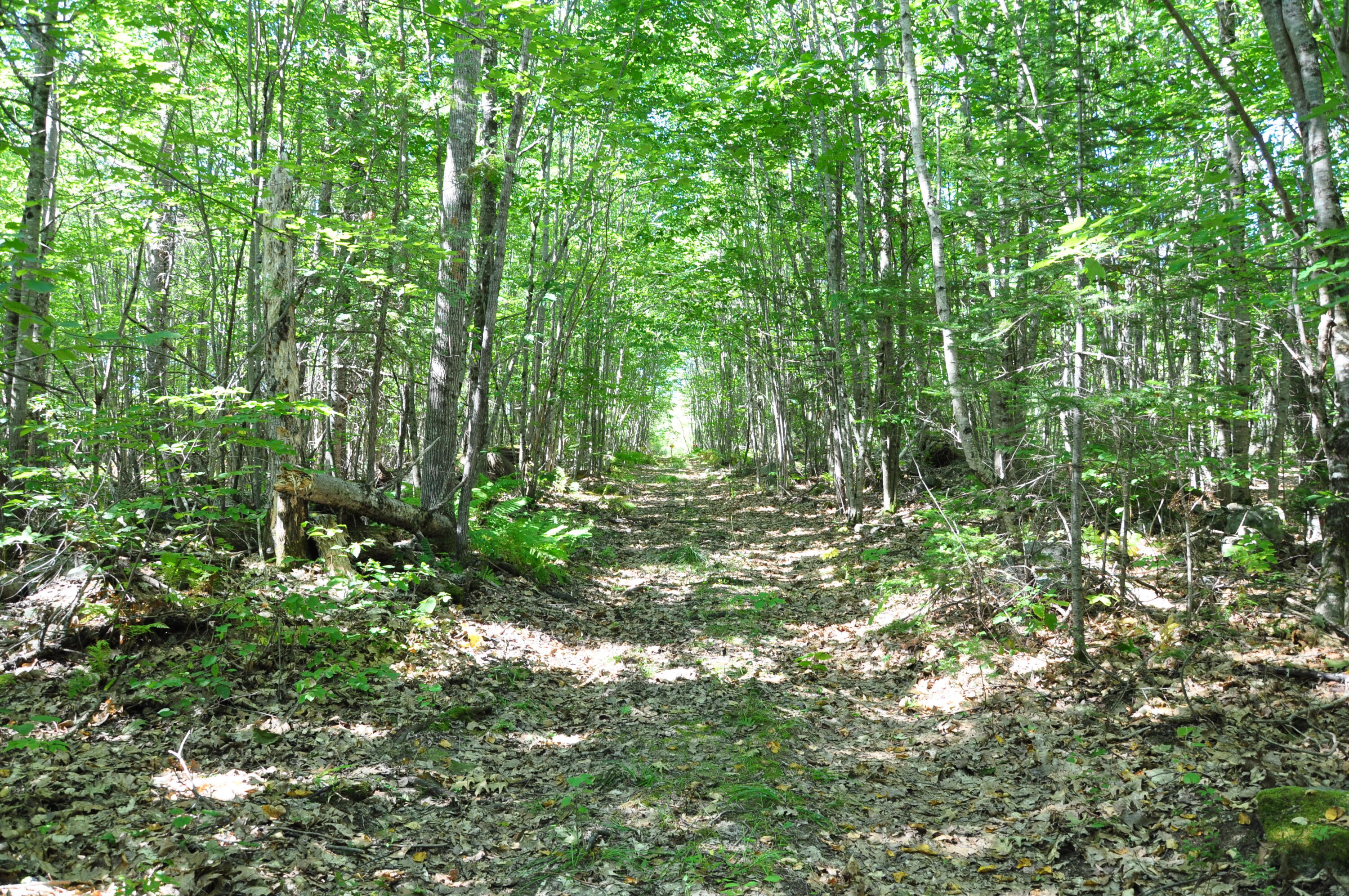 1765 Ohio Street Bangor ME 04401