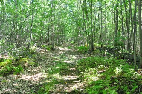 1765 Ohio Street Bangor ME 04401