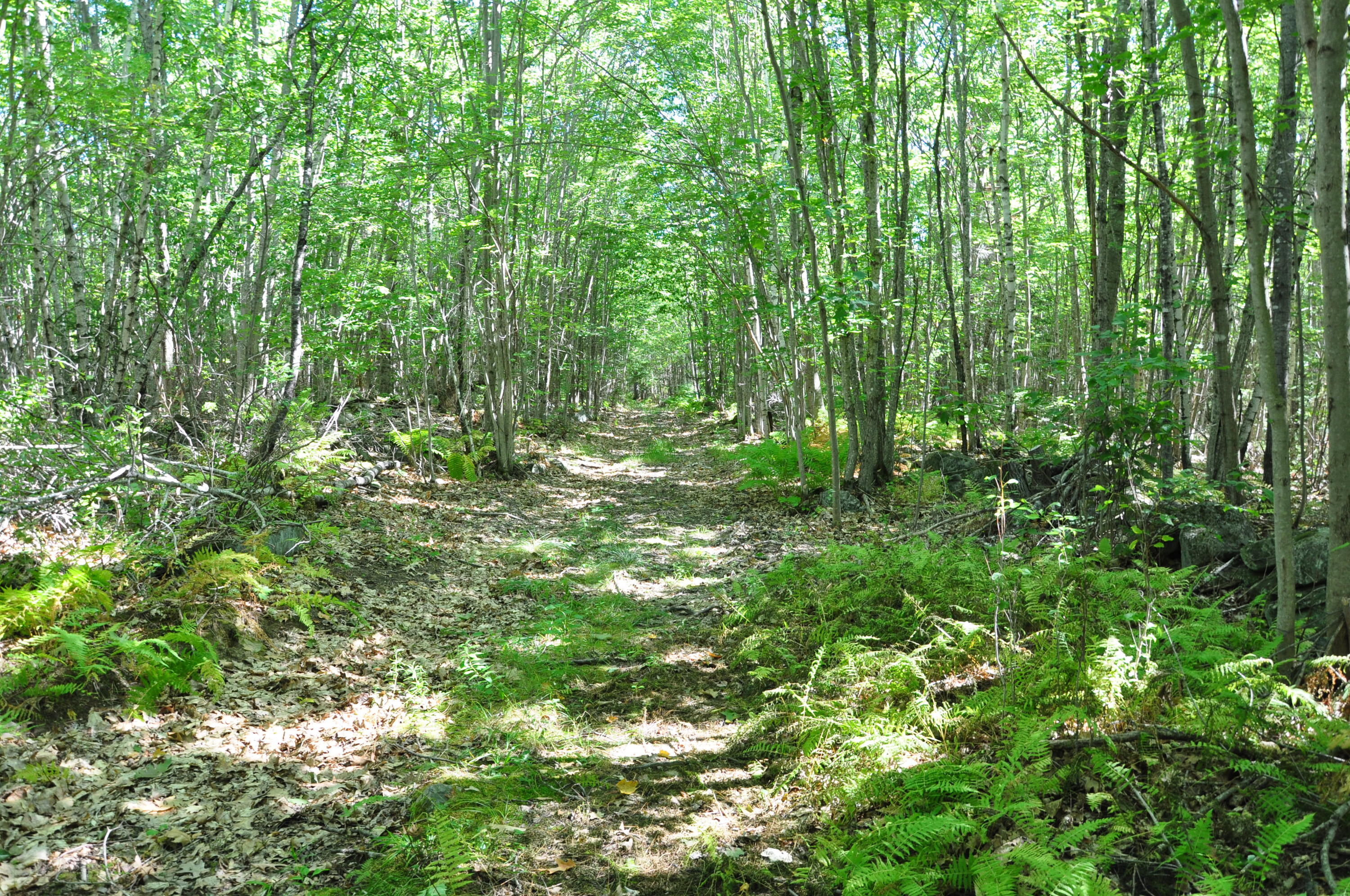 1765 Ohio Street Bangor ME 04401