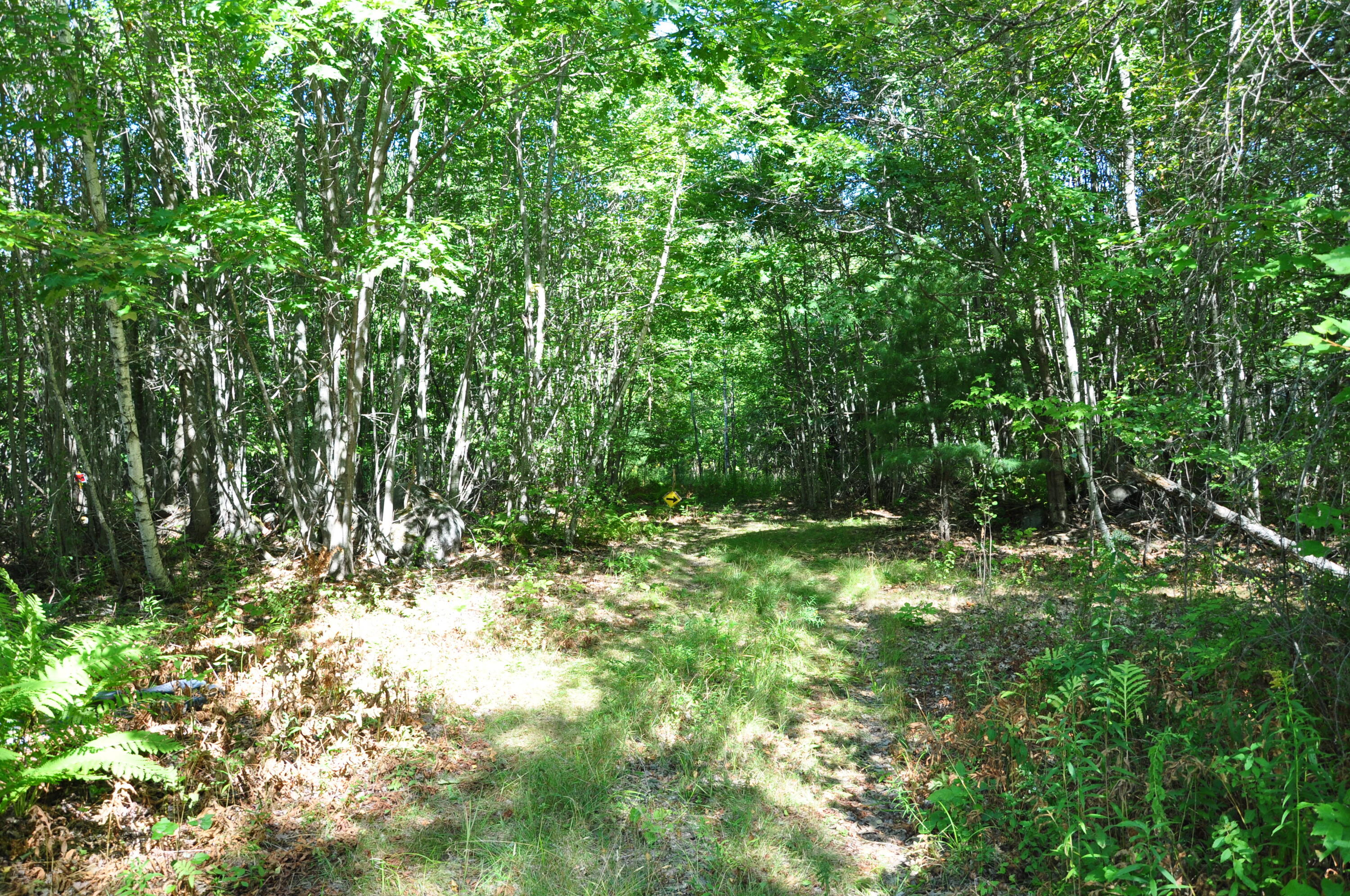 1765 Ohio Street Bangor ME 04401