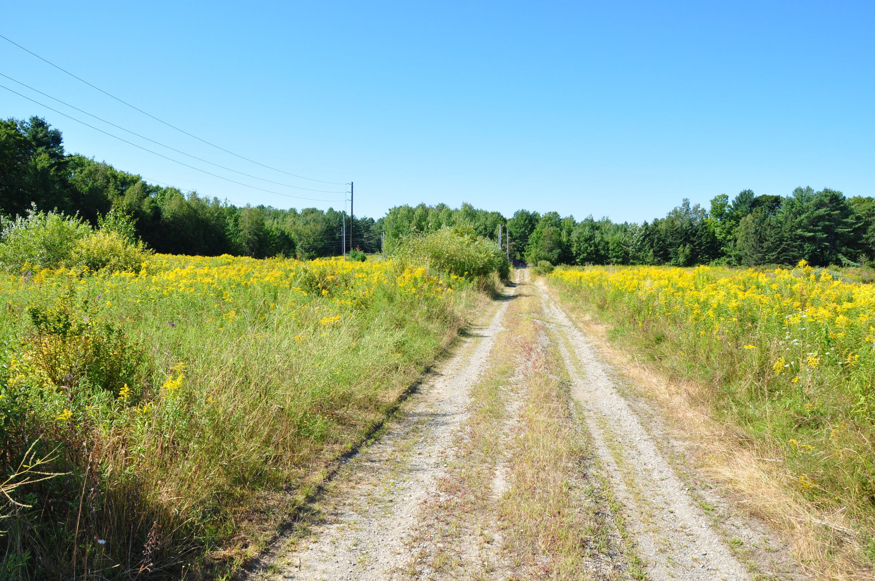 1765 Ohio Street Bangor ME 04401