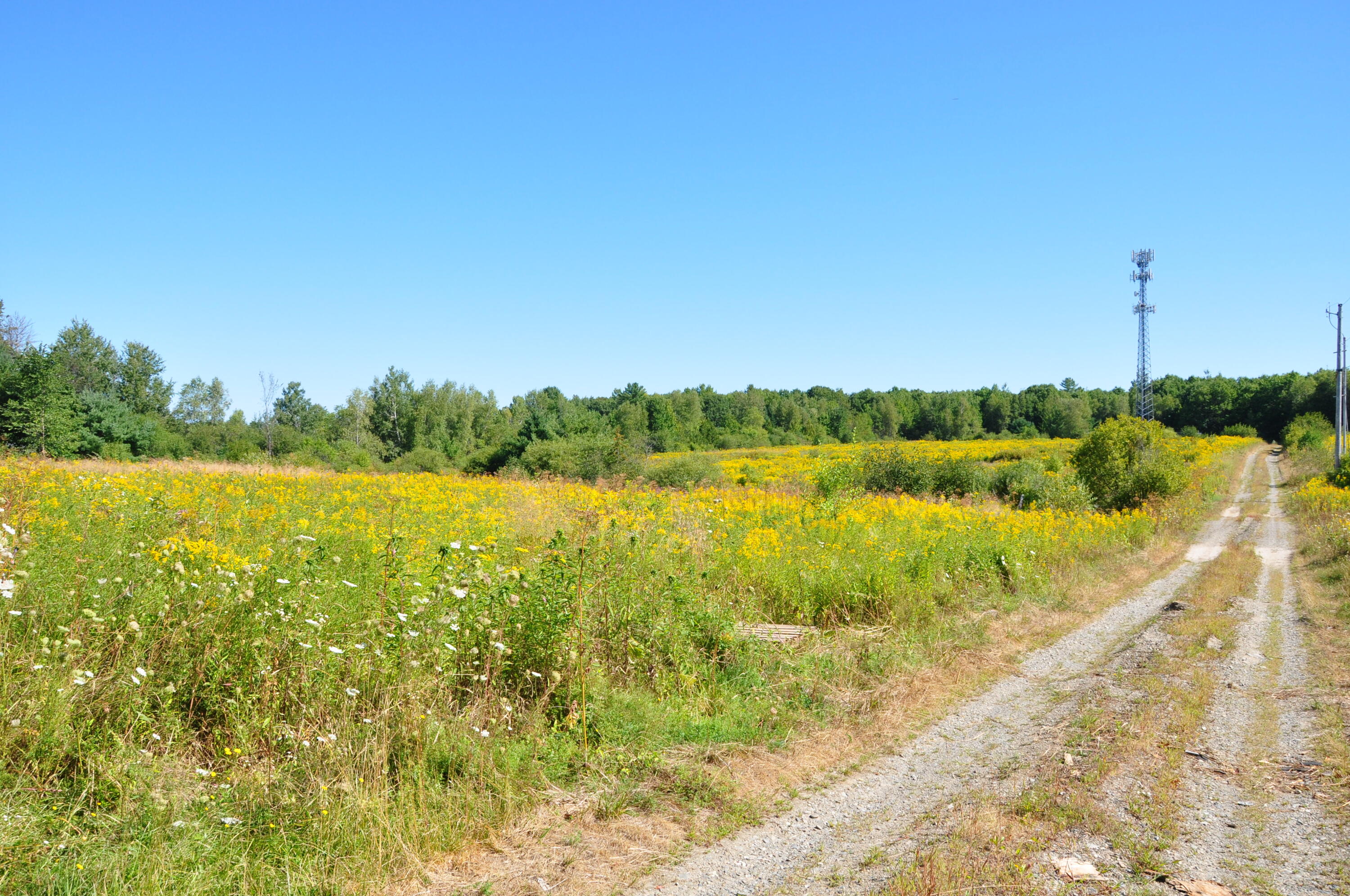 1765 Ohio Street Bangor ME 04401