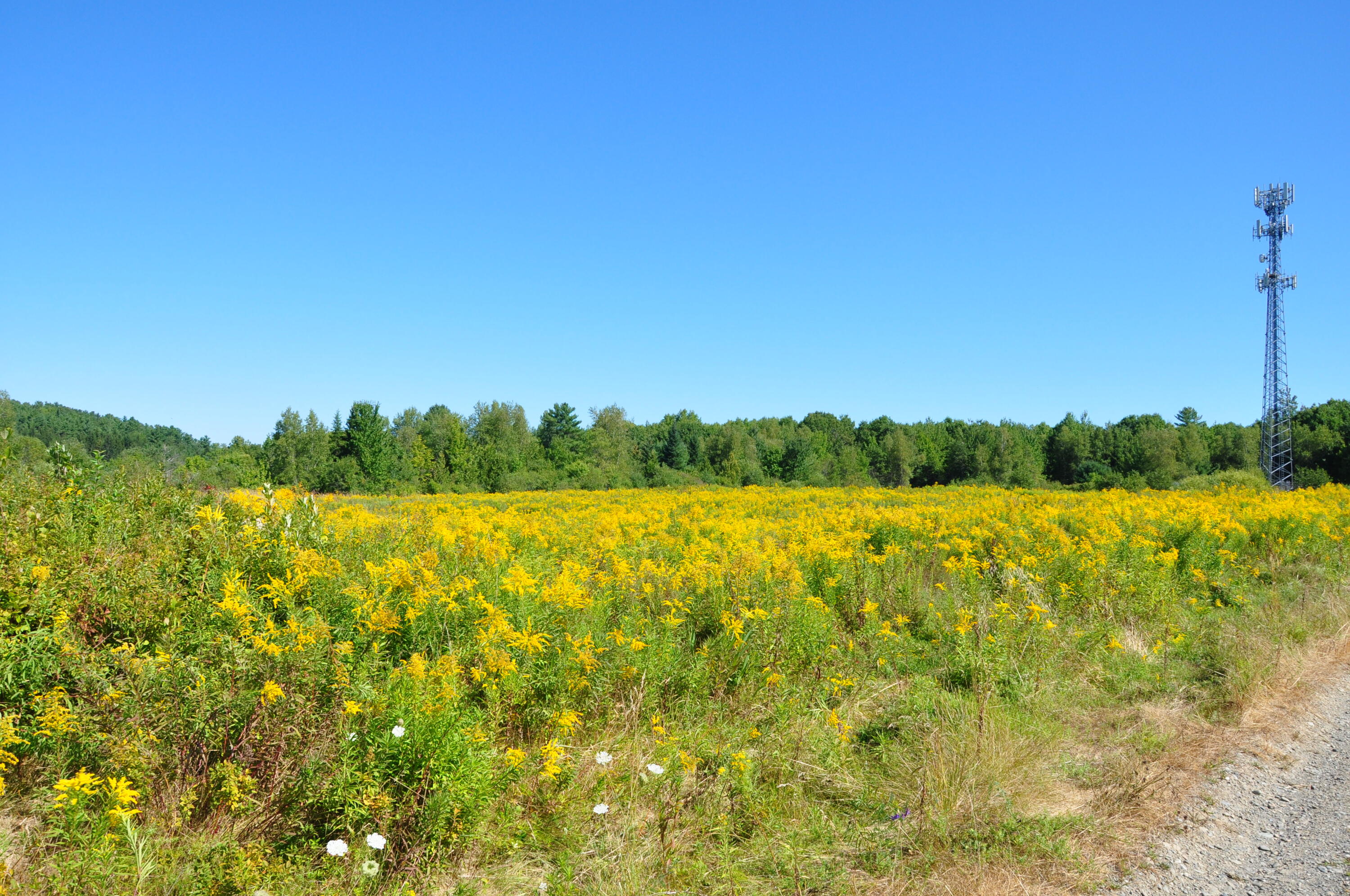 1765 Ohio Street Bangor ME 04401