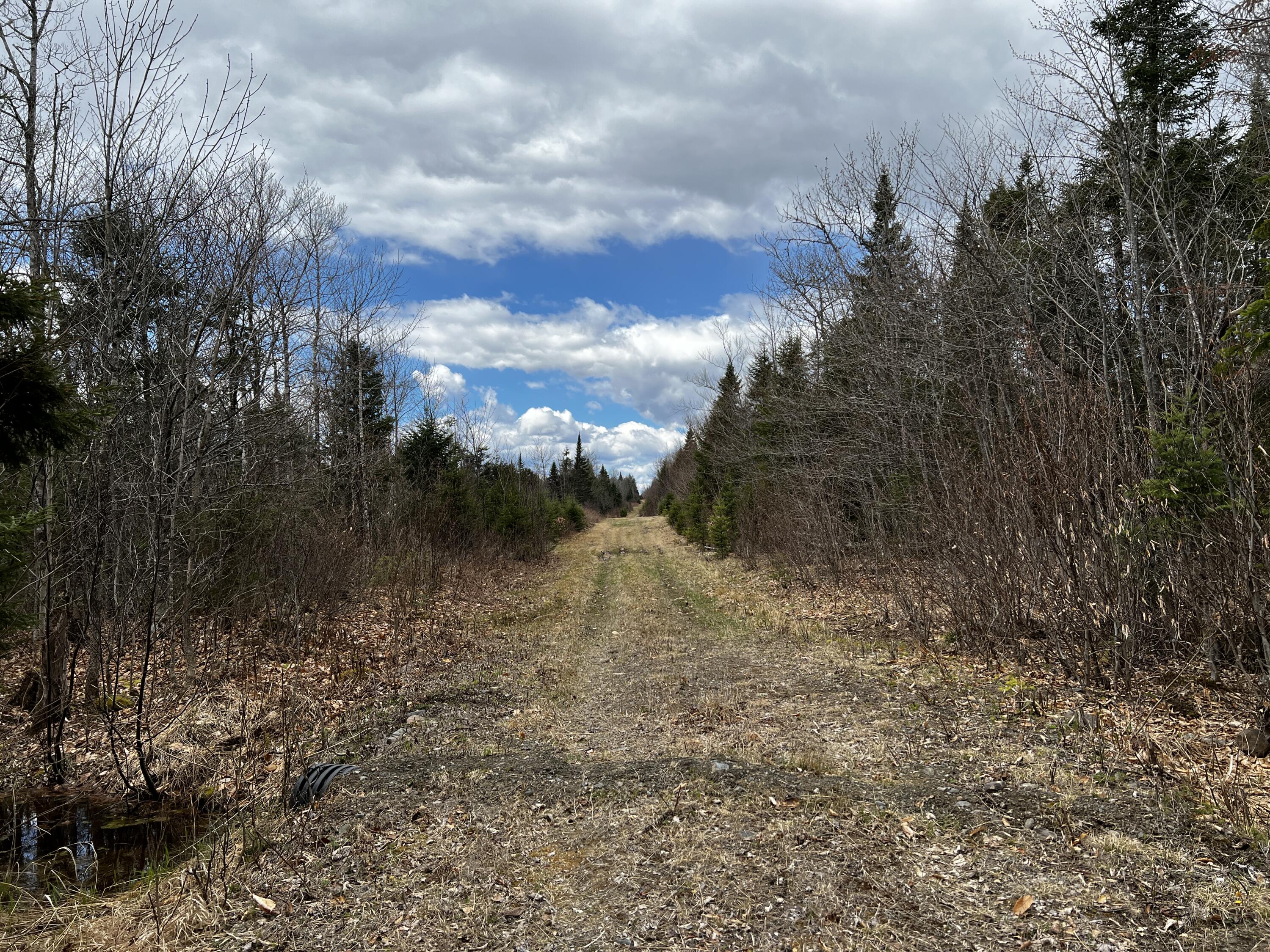 Lot 2-18 Shin Pond Road Mount Chase ME 04765