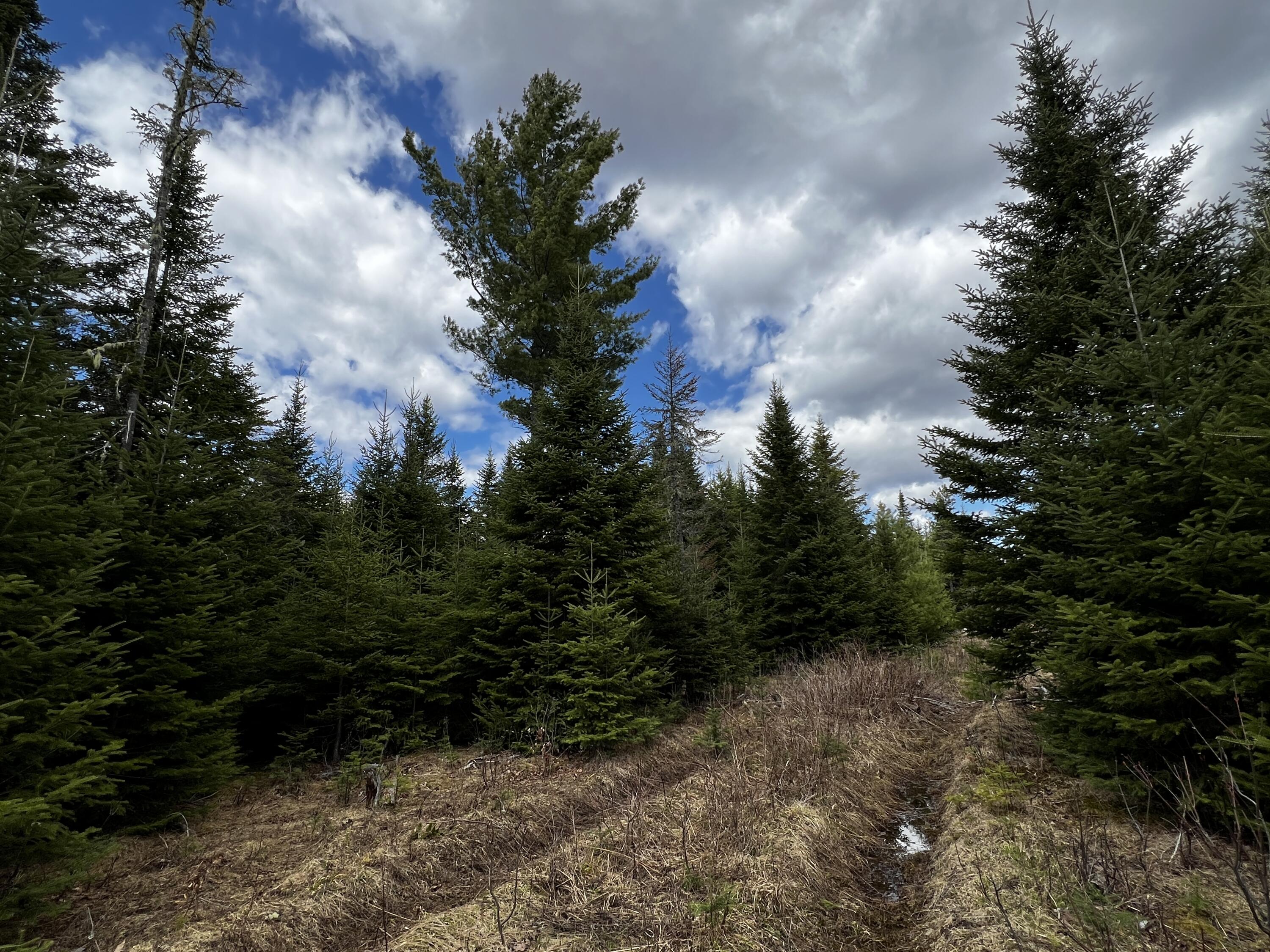 Lot 2-18 Shin Pond Road Mount Chase ME 04765