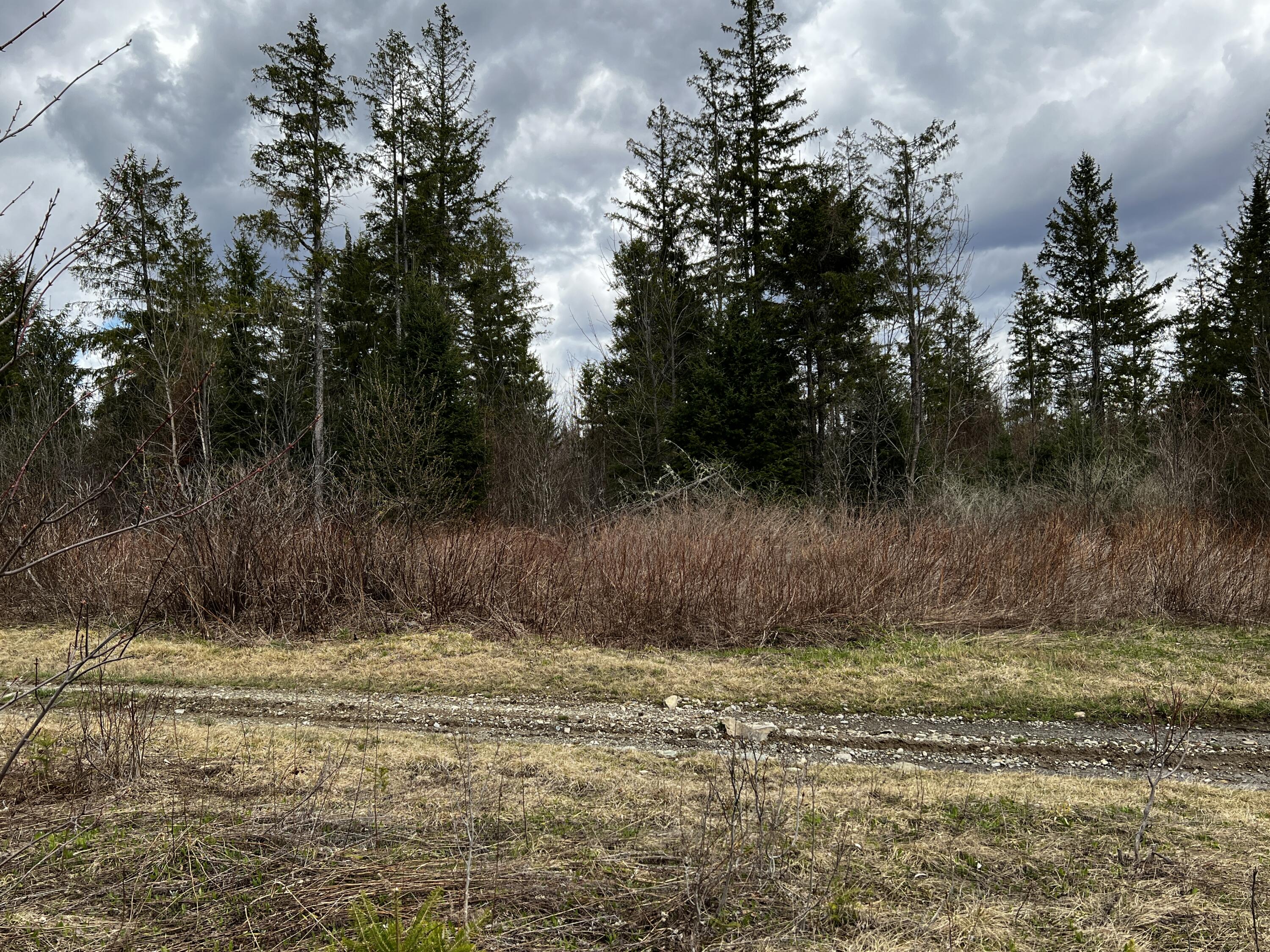 Lot 2-18 Shin Pond Road Mount Chase ME 04765