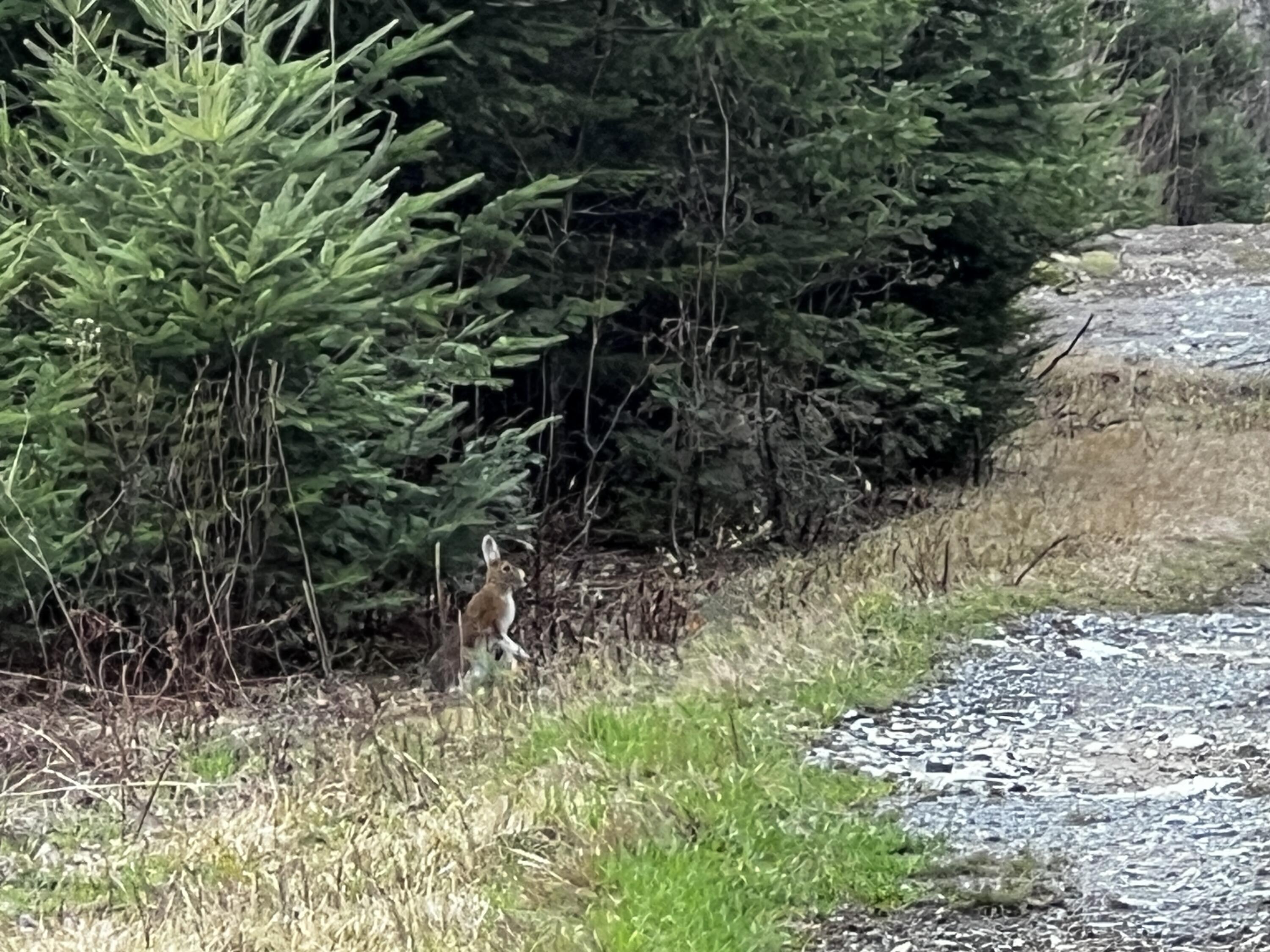 Lot 2-18 Shin Pond Road Mount Chase ME 04765