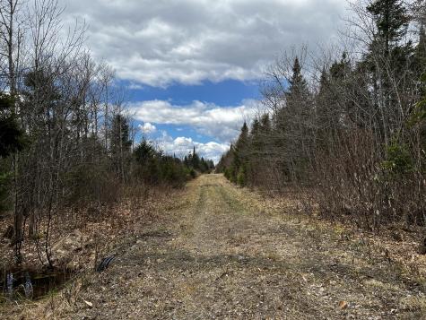 Lot 2-18 Shin Pond Road Mount Chase ME 04765