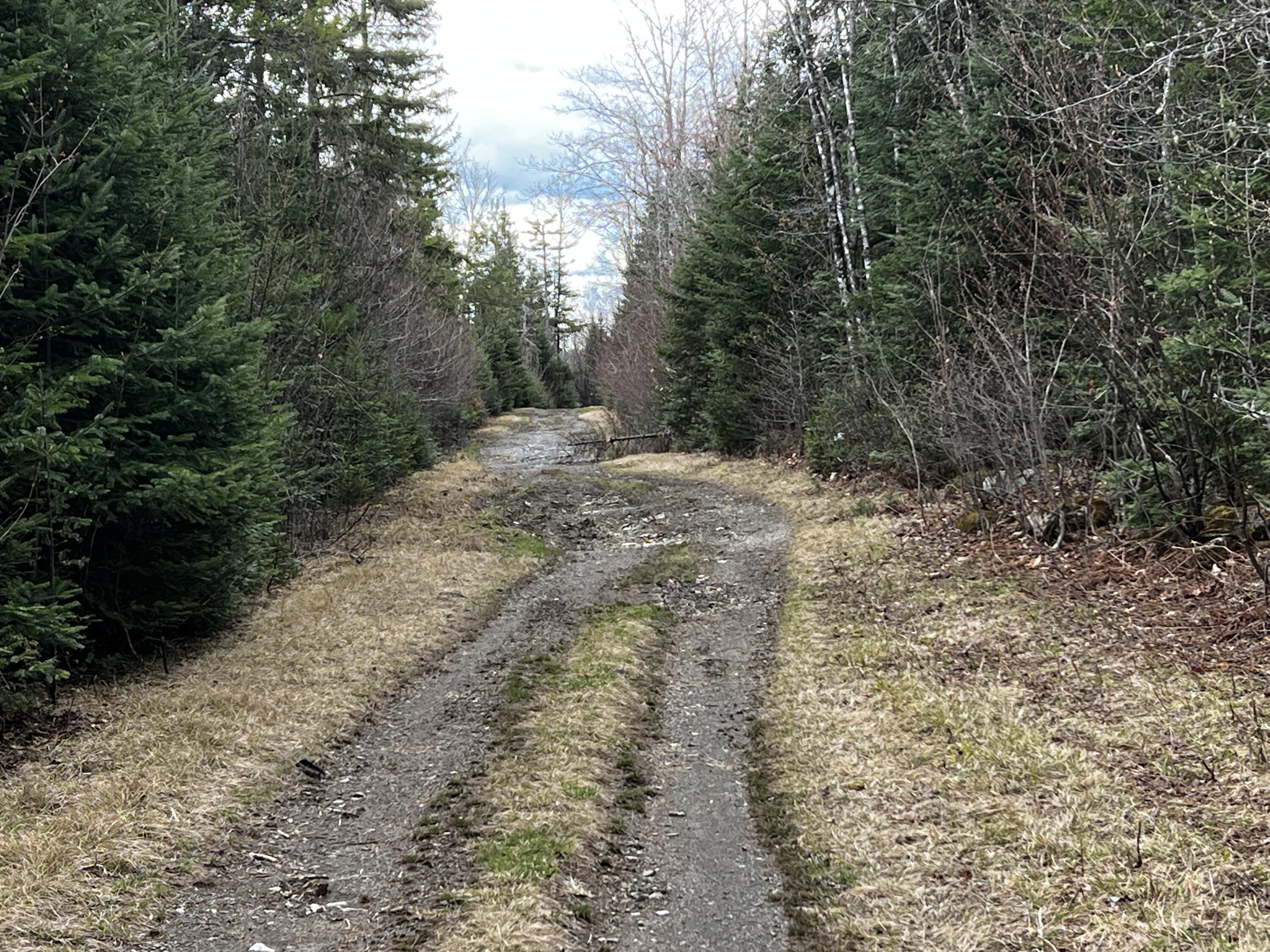 Lot 2-18 Shin Pond Road Mount Chase ME 04765
