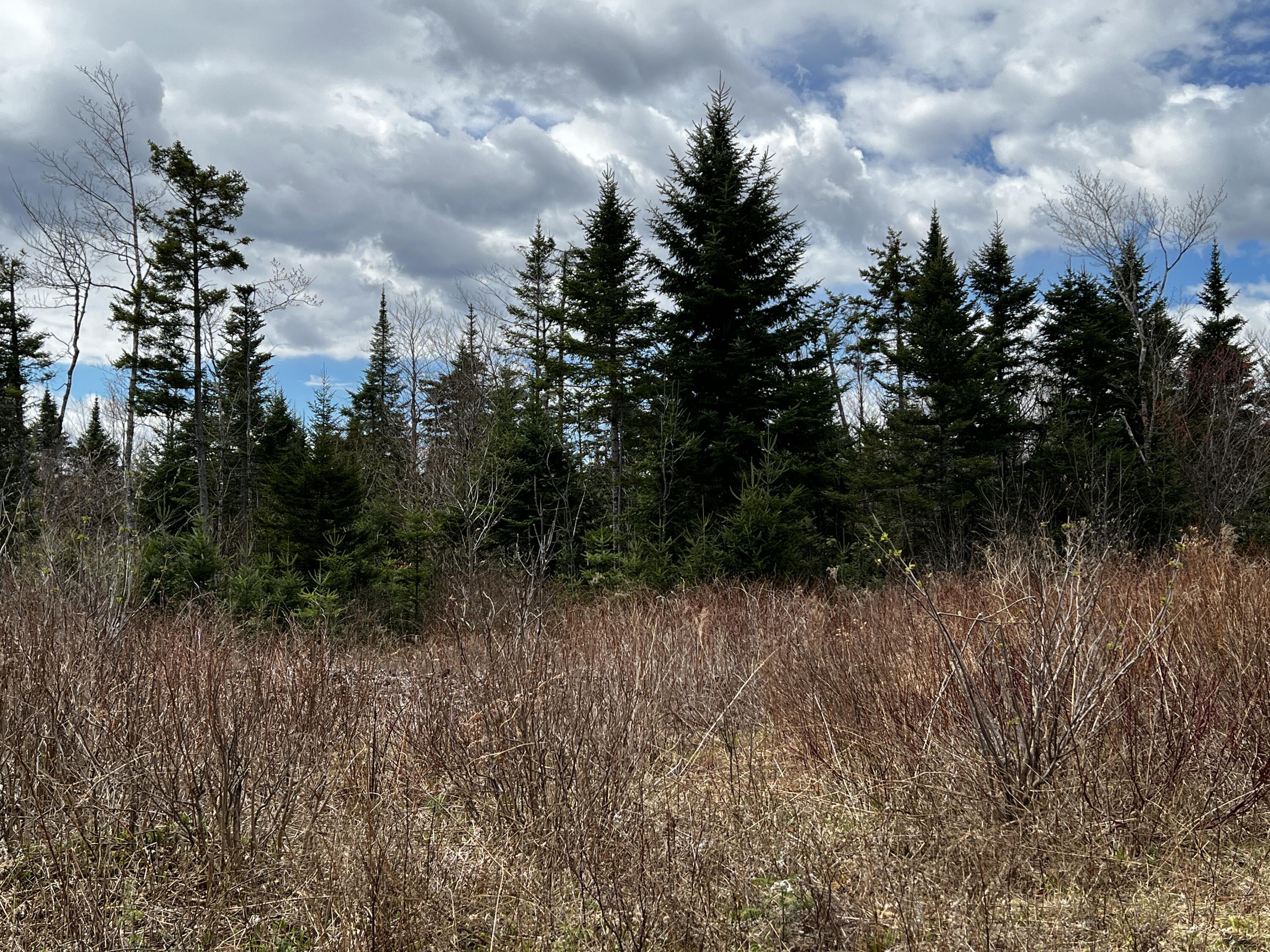 Lot 2-18 Shin Pond Road Mount Chase ME 04765