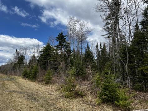 Lot 2-18 Shin Pond Road Mount Chase ME 04765