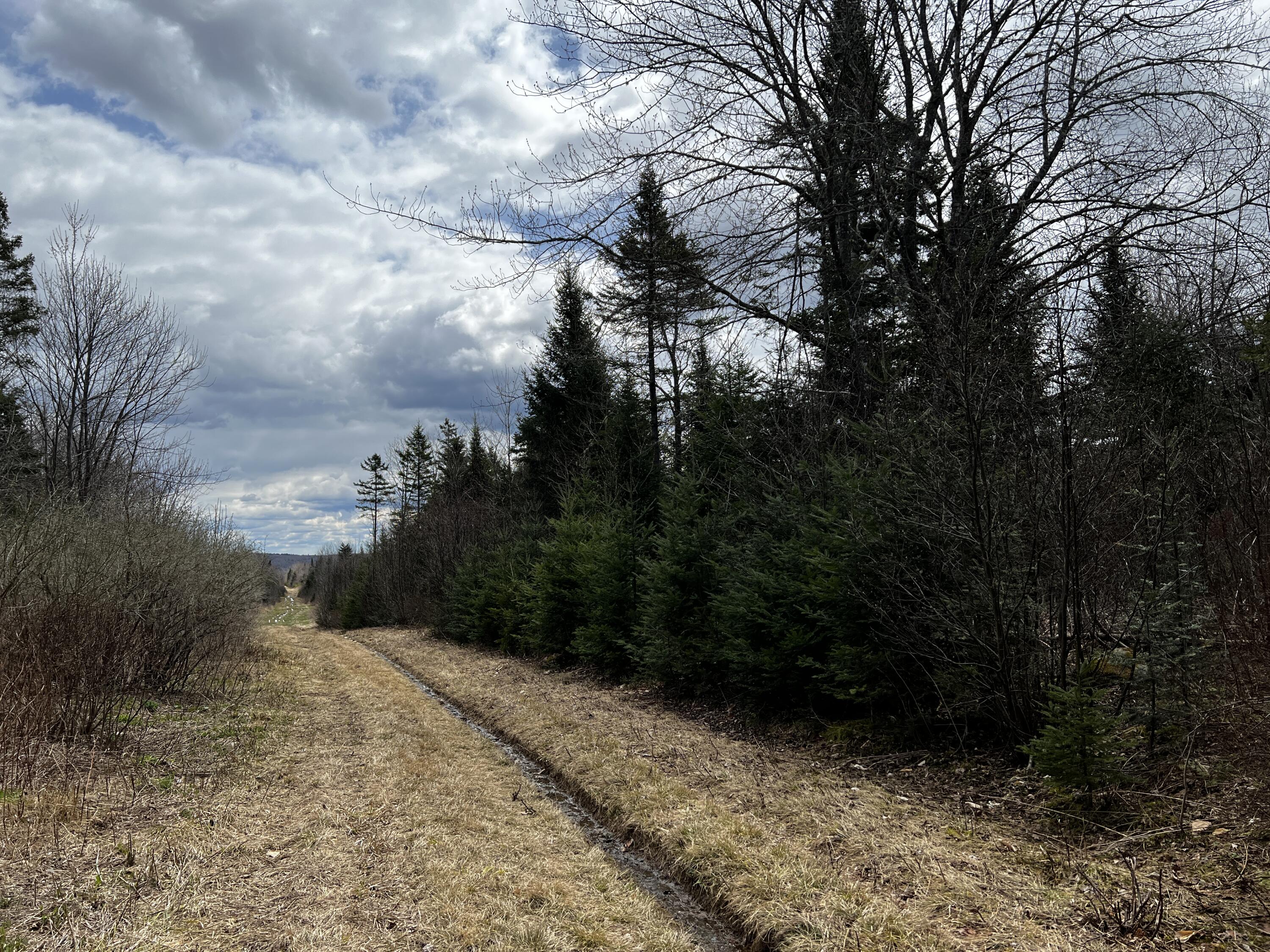 Lot 2-18 Shin Pond Road Mount Chase ME 04765
