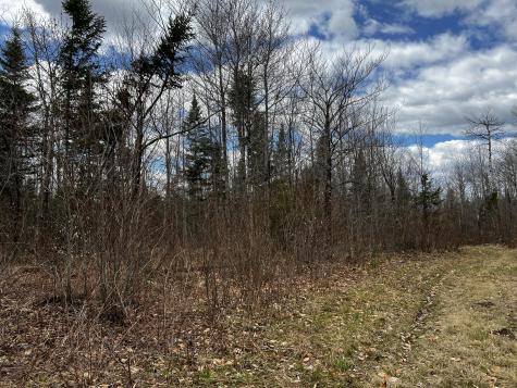 Lot 2-18 Shin Pond Road Mount Chase ME 04765