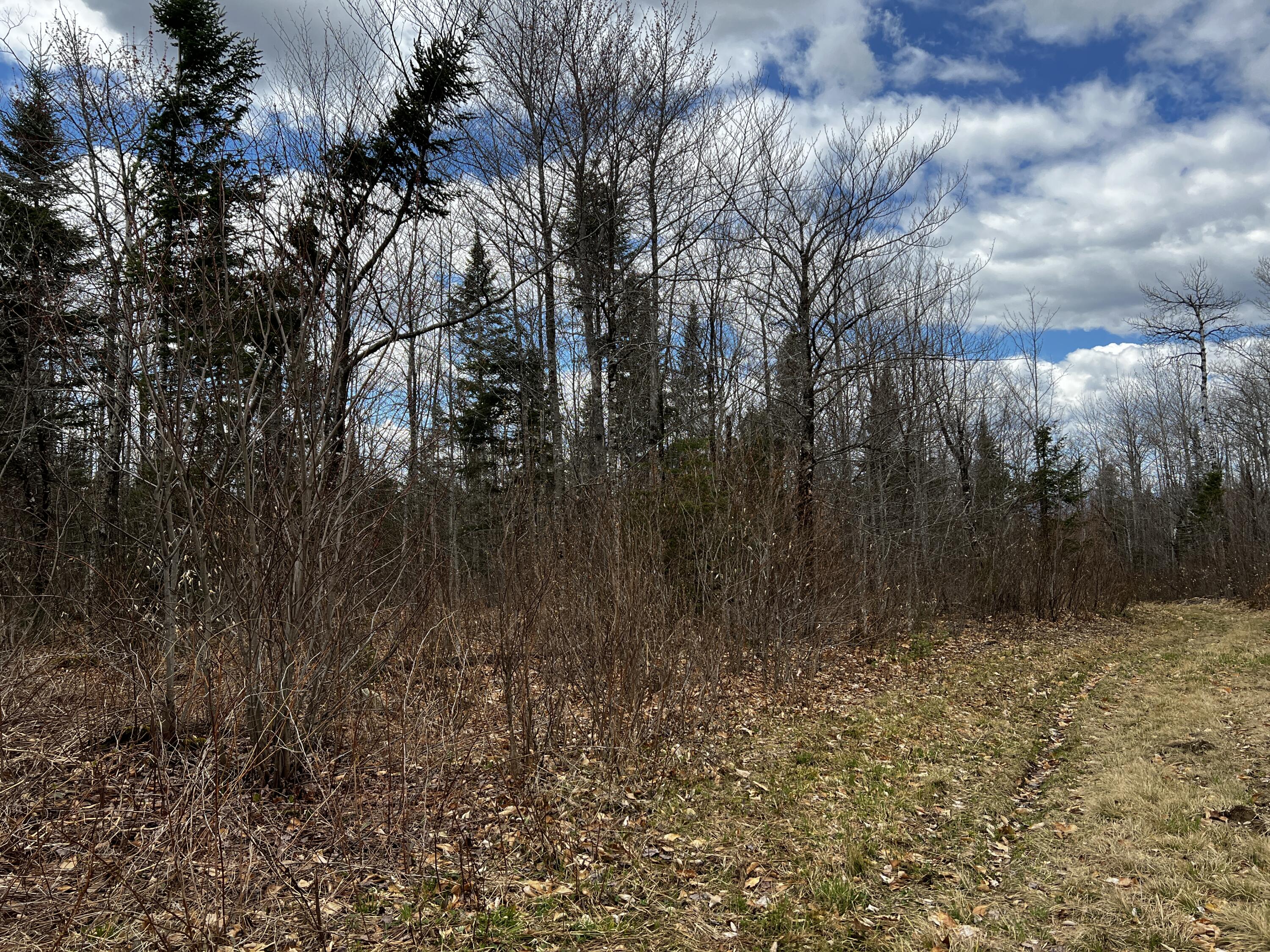 Lot 2-18 Shin Pond Road Mount Chase ME 04765