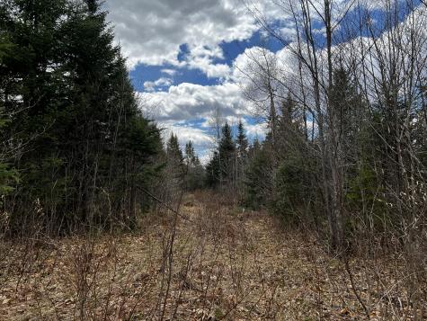 Lot 2-18 Shin Pond Road Mount Chase ME 04765
