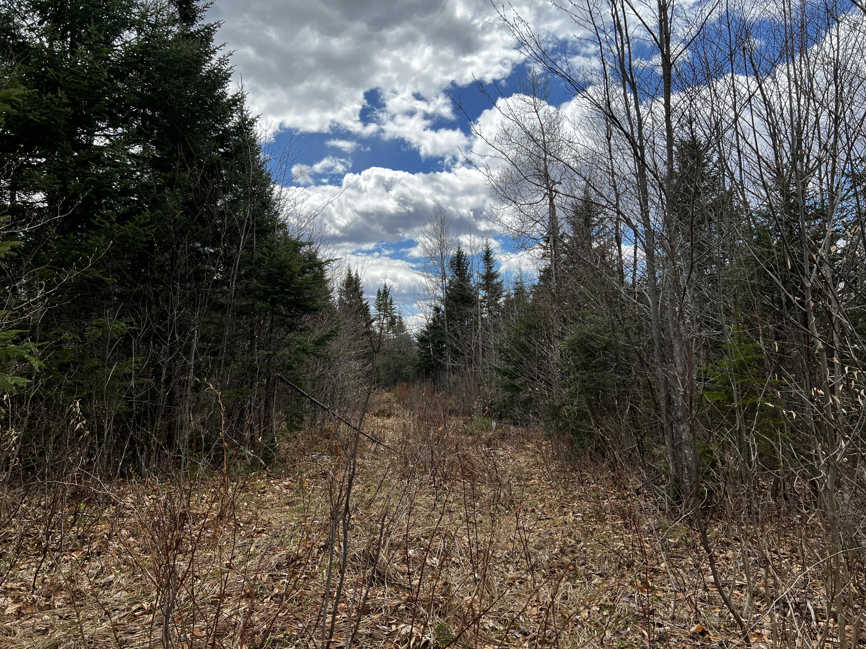 Lot 2-18 Shin Pond Road Mount Chase ME 04765