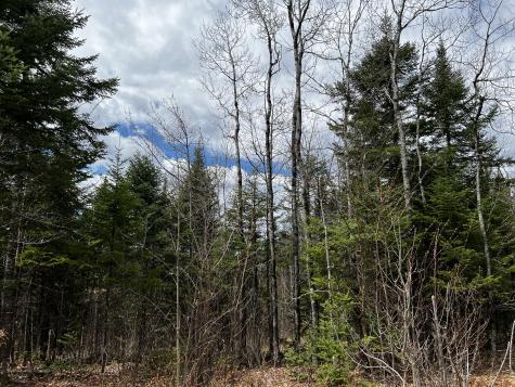 Lot 2-18 Shin Pond Road Mount Chase ME 04765