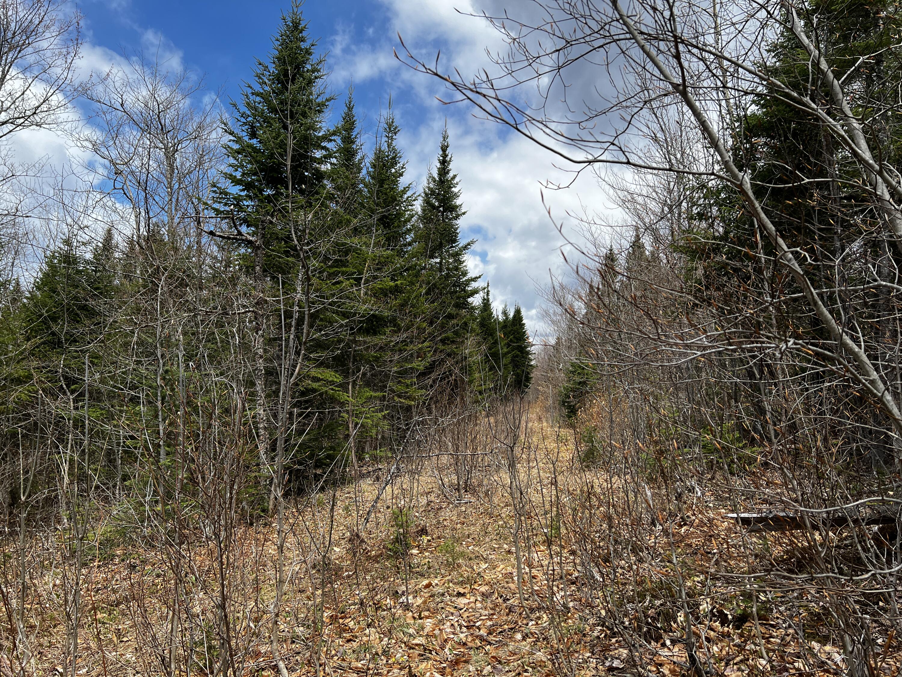 Lot 2-18 Shin Pond Road Mount Chase ME 04765
