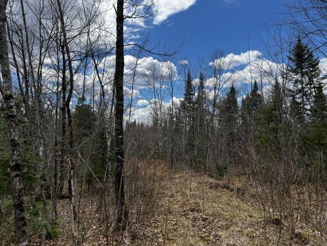 Lot 2-18 Shin Pond Road Mount Chase ME 04765