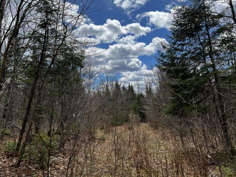 Lot 2-18 Shin Pond Road Mount Chase ME 04765