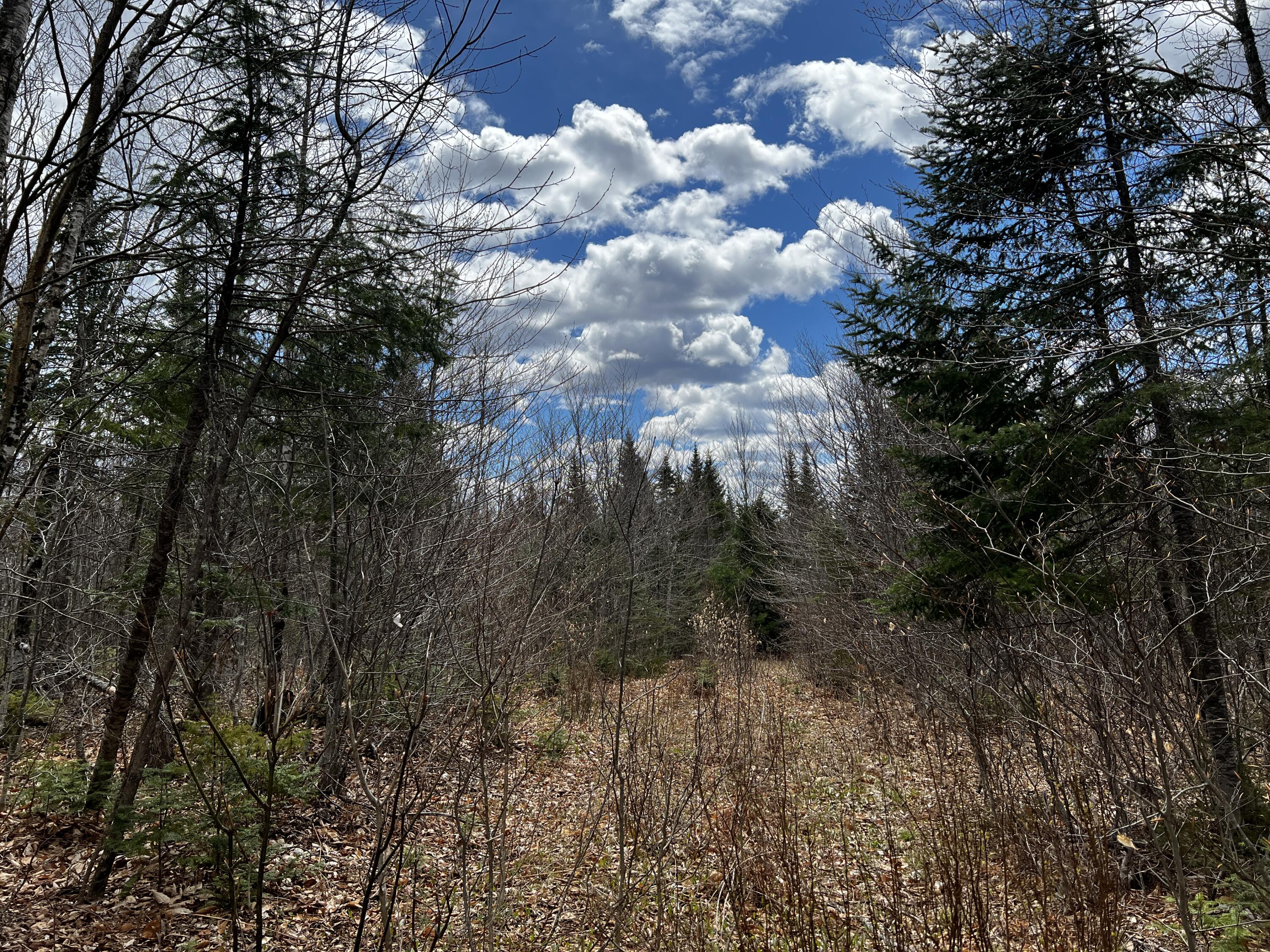 Lot 2-18 Shin Pond Road Mount Chase ME 04765