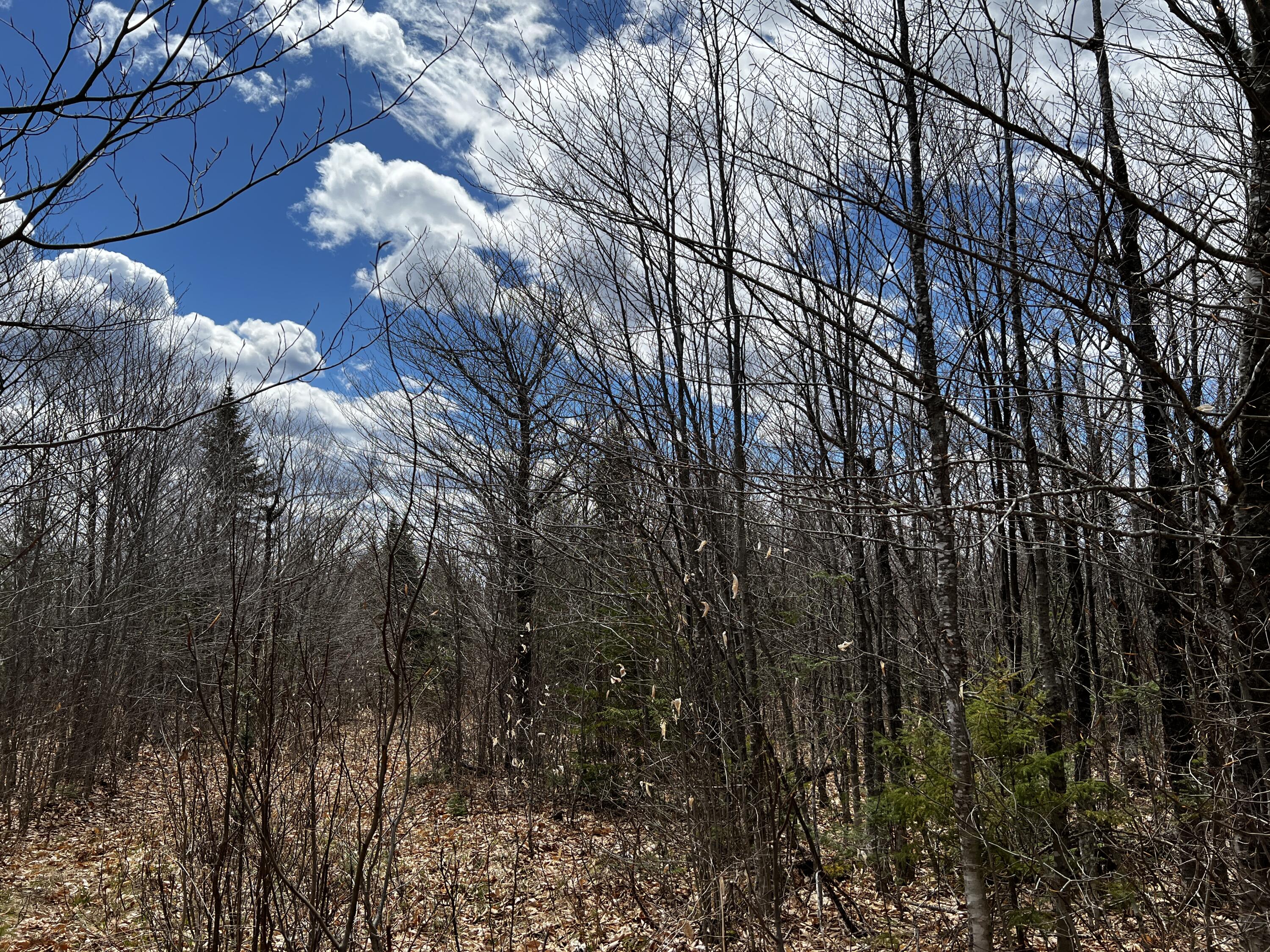 Lot 2-18 Shin Pond Road Mount Chase ME 04765