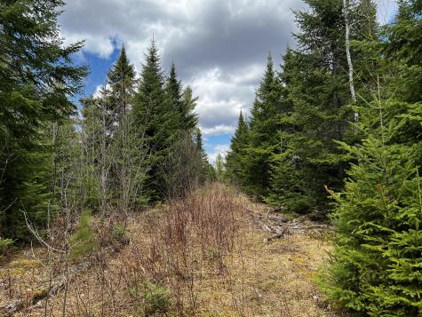 Lot 2-18 Shin Pond Road Mount Chase ME 04765