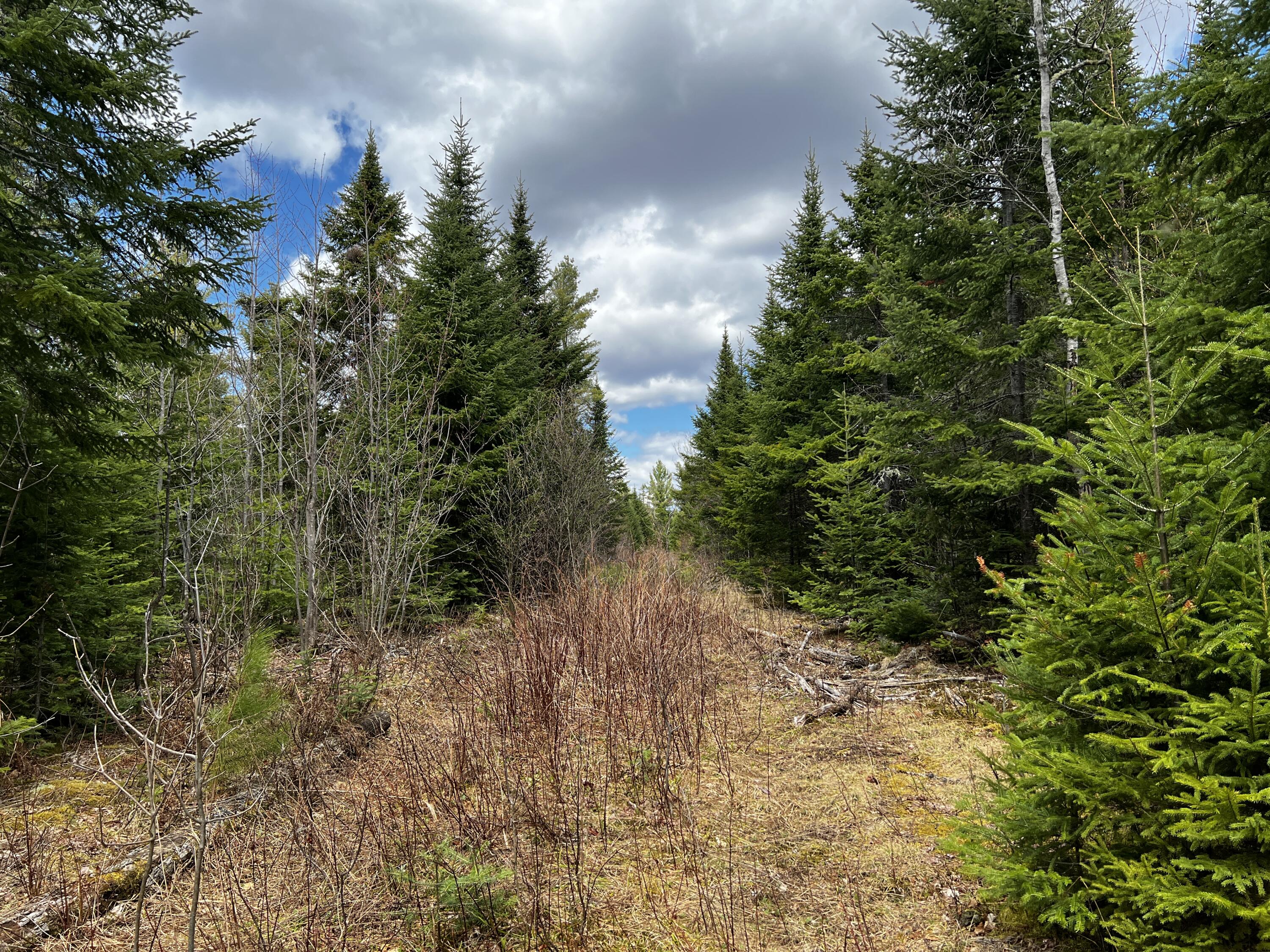 Lot 2-18 Shin Pond Road Mount Chase ME 04765
