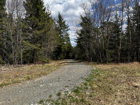 Lot 2-18 Shin Pond Road Mount Chase ME 04765