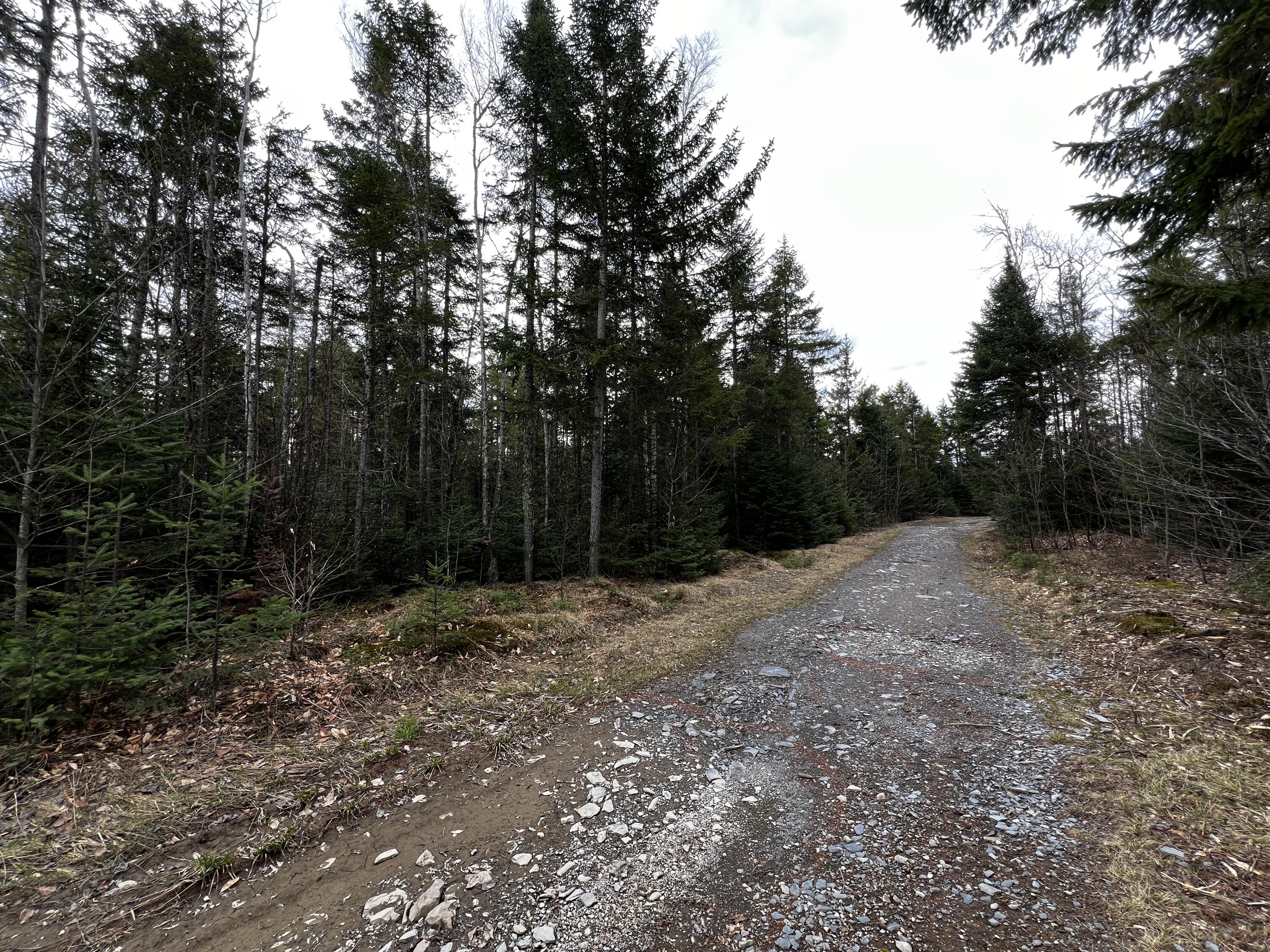 Lot 2-18 Shin Pond Road Mount Chase ME 04765