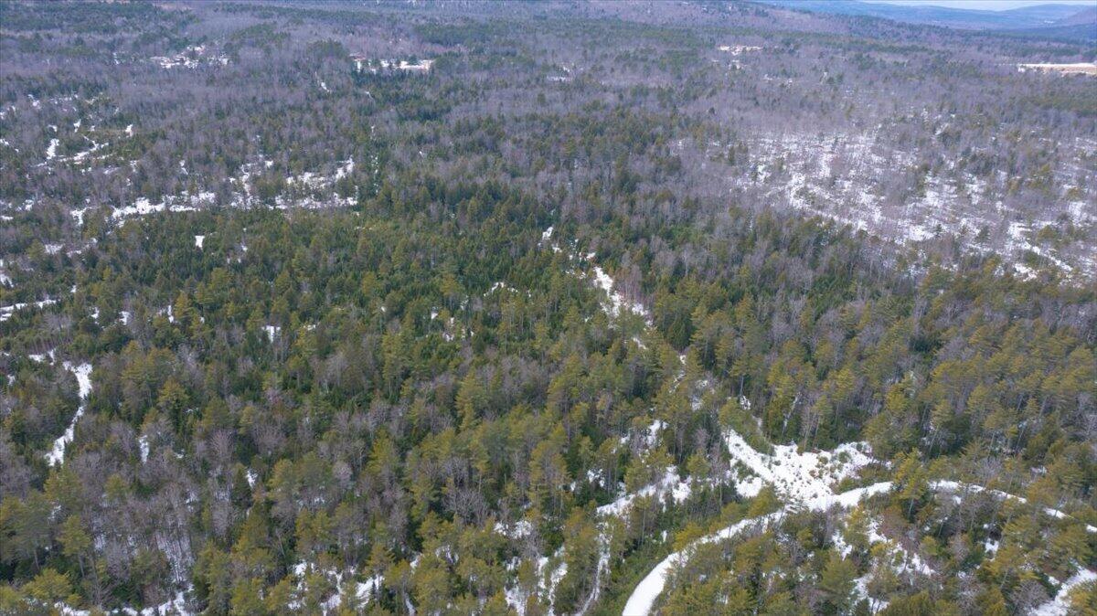 Lot 21 Plains Road Harrison ME 04040