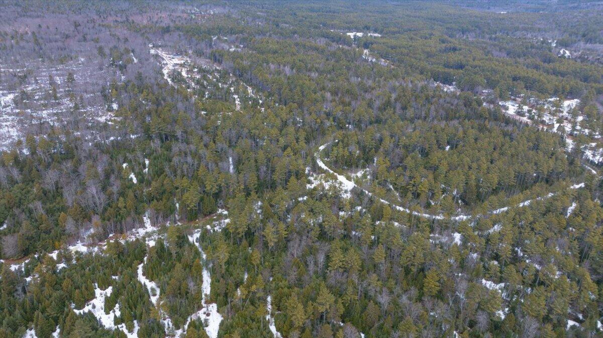 Lot 21 Plains Road Harrison ME 04040