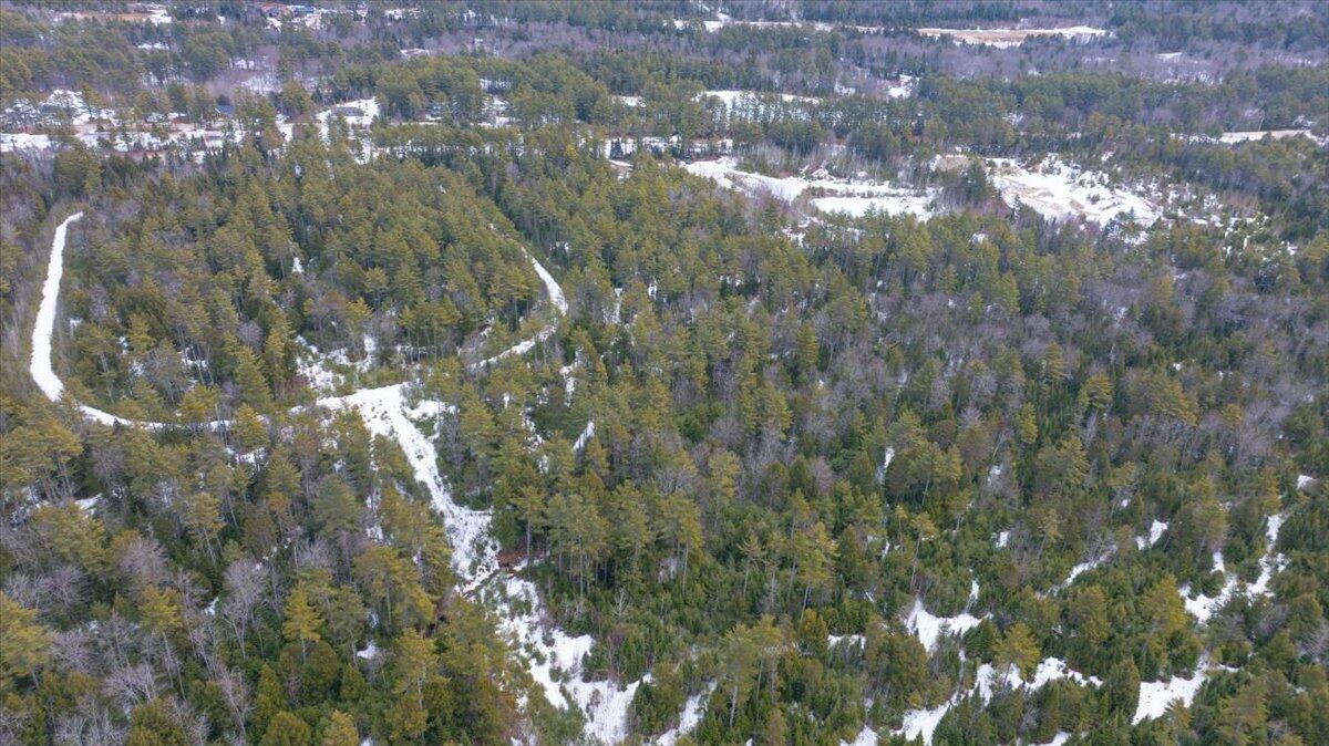 Lot 21 Plains Road Harrison ME 04040