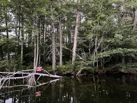 Lot 11 Dillingham Road Naples ME 04055