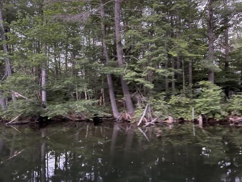 Lot 11 Dillingham Road Naples ME 04055