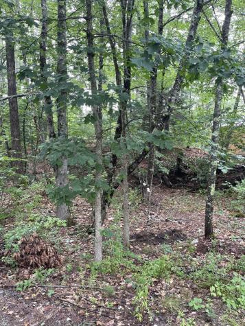 Lot 11 Dillingham Road Naples ME 04055