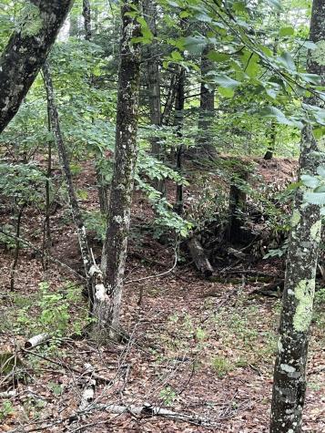 Lot 11 Dillingham Road Naples ME 04055