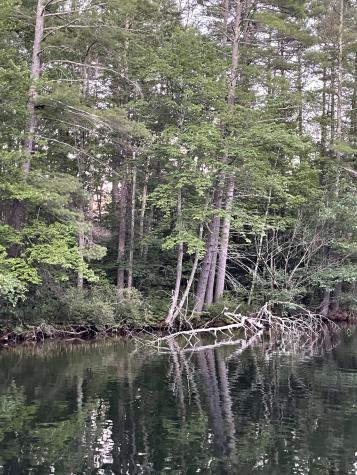 Lot 11 Dillingham Road Naples ME 04055