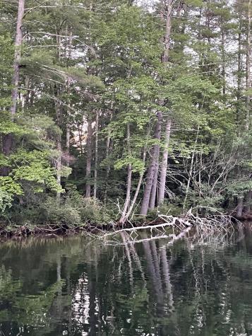 Lot 11 Dillingham Road Naples ME 04055