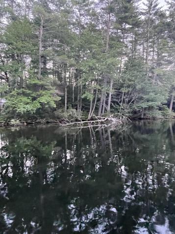 Lot 11 Dillingham Road Naples ME 04055