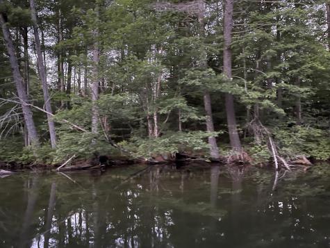 Lot 11 Dillingham Road Naples ME 04055