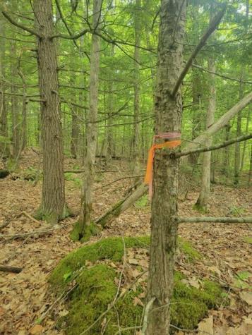 35002 Off Waugan Road Monmouth ME 04259