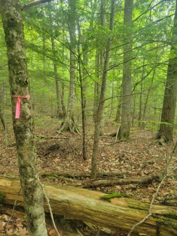 35002 Off Waugan Road Monmouth ME 04259