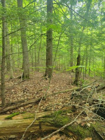 35002 Off Waugan Road Monmouth ME 04259