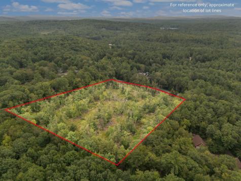 Lot 1 Map 49 Lot 16.2 Sanborn Road Newfield ME 04095