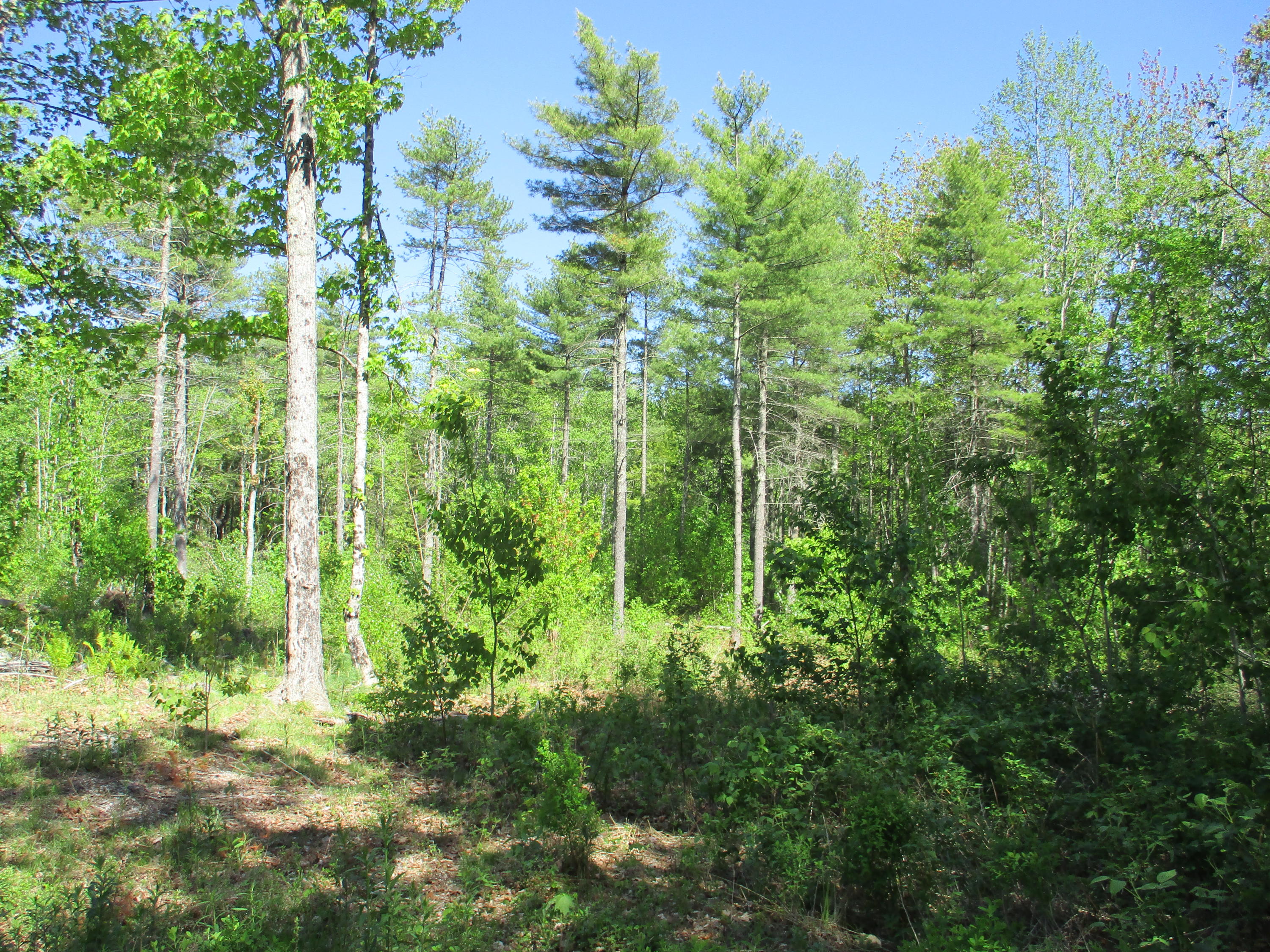 1641 Washington Road Waldoboro ME 04572